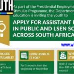 SA Youth Teacher Assistant Application Form 2022