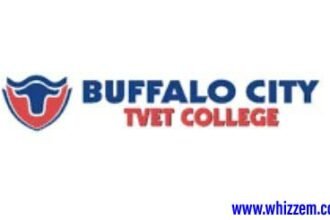 Buffalo City College Online Application
