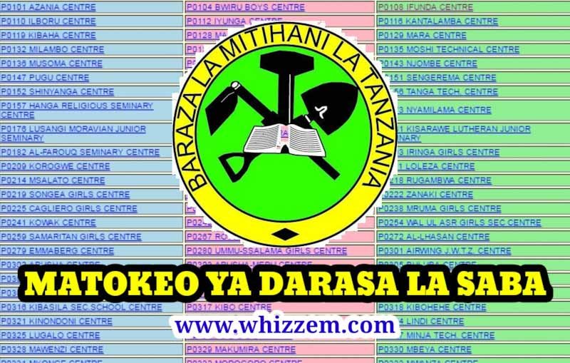 NECTA Matokeo Ya Darasa La Saba 2022 Rukwa Region – PSLE Results