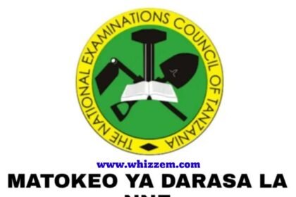 Matokeo Ya Darasa La Nne 2022/2023 Iringa Region