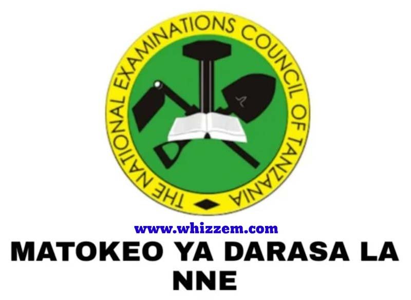 Matokeo Ya Darasa La Nne 2022/2023 Dar es Salaam Region