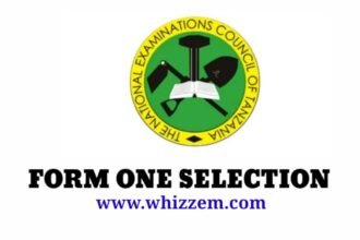 Form One Selection 2023 Iringa | Selection Kidato Cha Kwanza Iringa